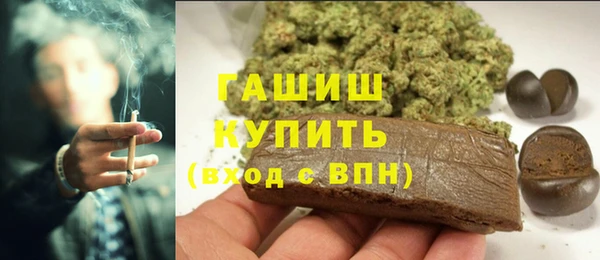 шишки Пересвет