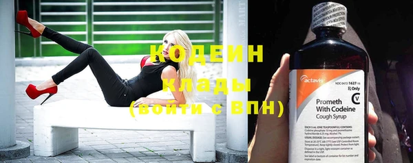 шишки Пересвет