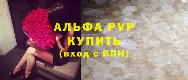 шишки Пересвет