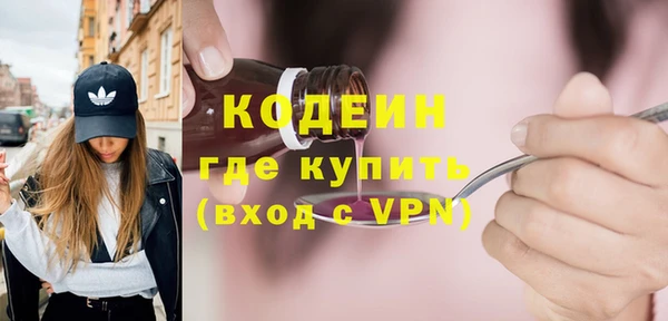 молекула духа Пестово
