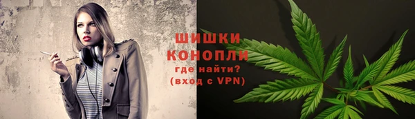 молекула духа Пестово