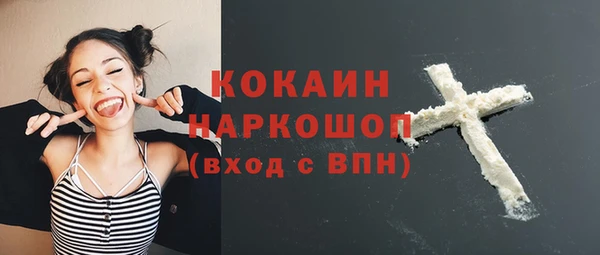 молекула духа Пестово