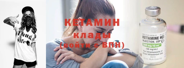 шишки Пересвет