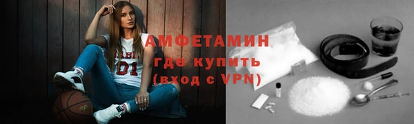 молекула духа Пестово