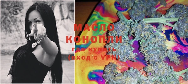 молекула духа Пестово