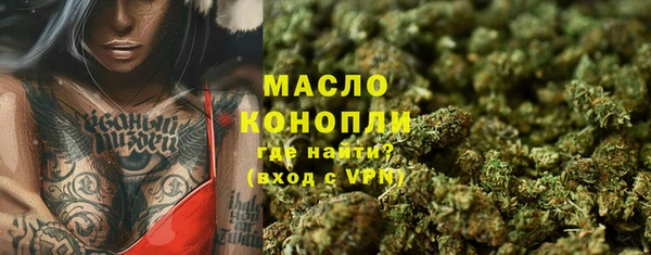 молекула духа Пестово