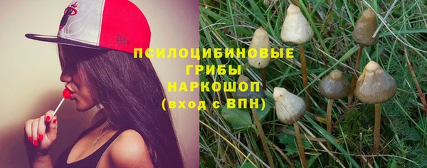 стафф Горняк