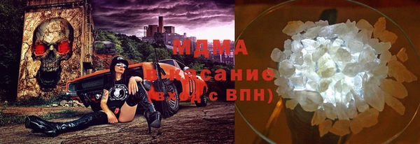 шишки Пересвет