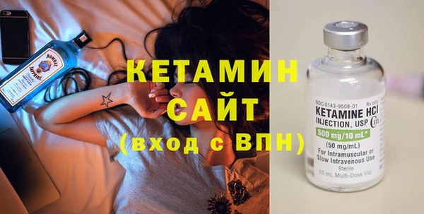 шишки Пересвет