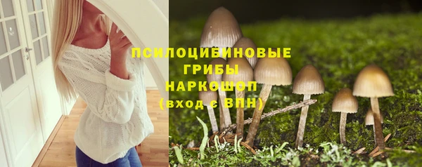 шишки Пересвет