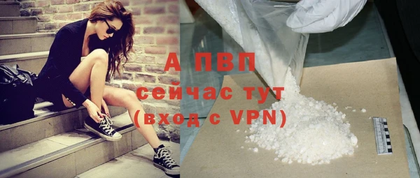 молекула духа Пестово
