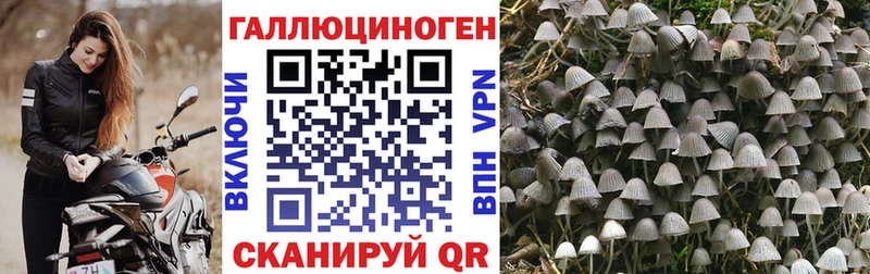 Галлюциногенные грибы Cubensis  ОМГ ОМГ вход  Болотное 